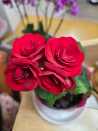 무형교회목사 안영진님의 작성글 사진