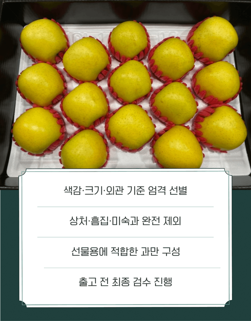 과일팩토리님의 장터 판매 상품 [[시나노골드 선물세트] 과일팩토리 고당도 황금사과 시나노골드 3kg/5kg] 첨부 사진