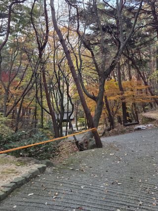 제주농부님의 자유주제 · 자유게시판 작성글 사진