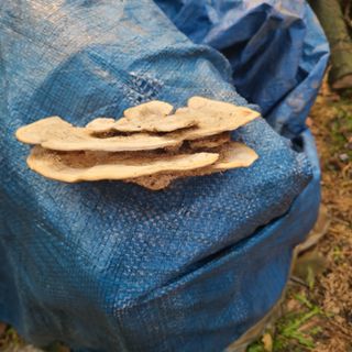 이미순님의 자유주제 · 자유게시판 작성글 사진