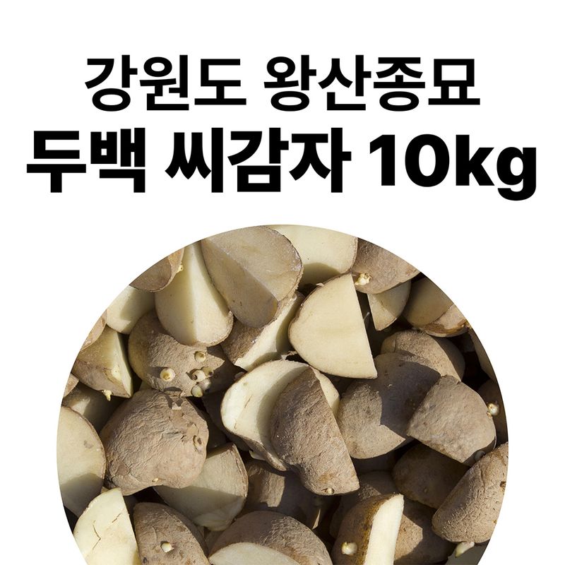 장터 상품 [강원도 왕산종묘 정품 두백 씨감자 10kg (2월초 출고)] 썸네일