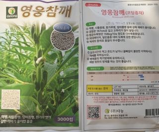 대산농사대장님의 참깨 · 자유게시판 작성글 사진