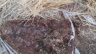 이창신님의 자유주제 · 자유게시판 작성글 사진