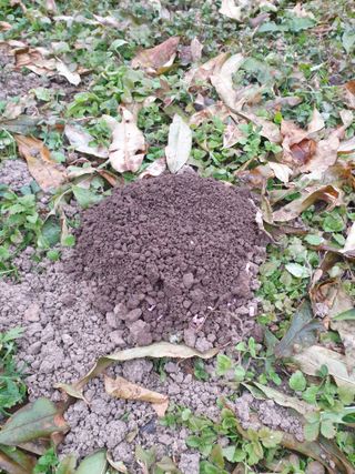 오재천님의 자유주제 · 자유게시판 작성글 사진