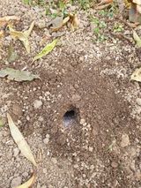 팜모닝 자유주제·자유게시판 게시글 이미지