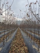 팜모닝 자유주제·자유게시판 게시글 이미지