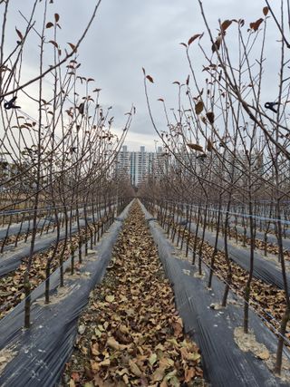 우리농원님의 자유주제·자유게시판 작성글 사진