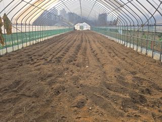 ♡청심전유삼♡님의 자유주제 · 자유게시판 작성글 사진