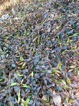 팜모닝 자유주제·자유게시판 게시글 이미지