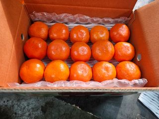 양애숙님의 작성글 사진