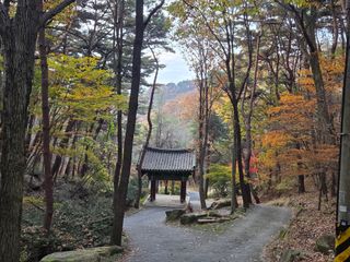 제주농부님의 자유주제 · 자유게시판 작성글 사진