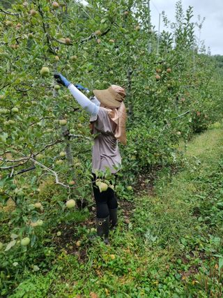 호랑이와인성이님의 작성글 사진
