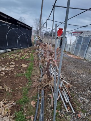장례지도사1급님의 자유주제 · 자유게시판 작성글 사진
