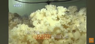 호미자루님의 자유주제 · 자유게시판 작성글 사진