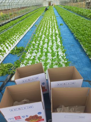 농민님의 자유주제 · 자유게시판 작성글 사진