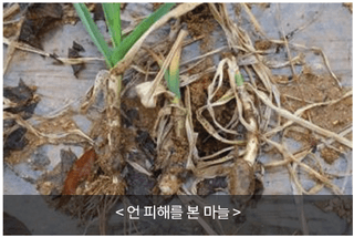 엔피코뉴스님의 자유주제 · 자유게시판 작성글 사진