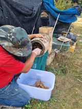 팜모닝 · 게시글 이미지