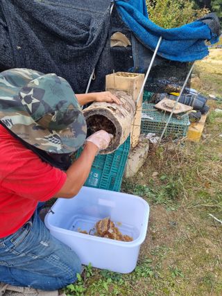 모두팜님의 작성글 사진