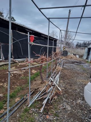 장례지도사1급님의 자유주제 · 자유게시판 작성글 사진