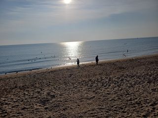 신 난다님의 자유주제 · 자유게시판 작성글 사진