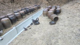 김준한님의 자유주제 · 자유게시판 작성글 사진