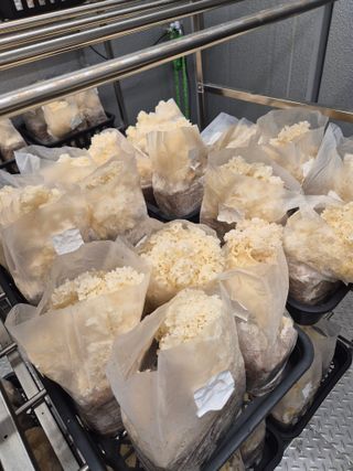 호미자루님의 자유주제 · 자유게시판 작성글 사진