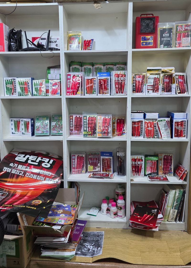 장터 상품 [고추종자 씨앗 복합내병계 극대과종 1200립] 썸네일