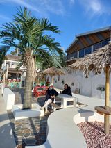 팜모닝 자유주제·자유게시판 게시글 이미지