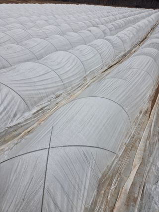 태일농산이정수님의 자유주제 · 자유게시판 작성글 사진