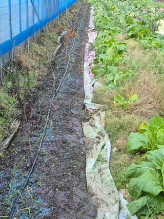 허굴산농장님의 자유주제 · 자유게시판 작성글 사진