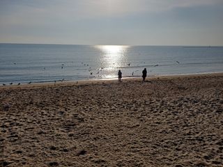 신 난다님의 자유주제 · 자유게시판 작성글 사진