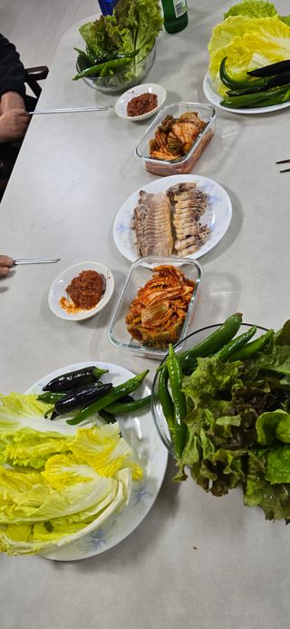 진촌다육묘목농원님의 자유주제 · 자유게시판 작성글 사진