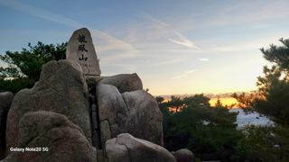 제주농부님의 자유주제 · 자유게시판 작성글 사진