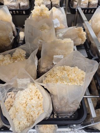 호미자루님의 자유주제 · 자유게시판 작성글 사진