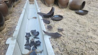 김준한님의 자유주제 · 자유게시판 작성글 사진