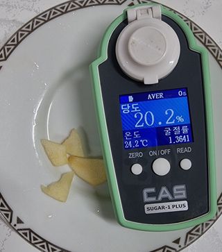 호랑이와인성이님의 작성글 사진