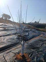 팜모닝 자유주제·자유게시판 게시글 이미지