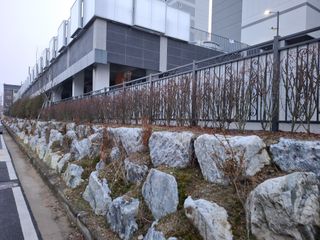 MSG0074님의 자유주제 · 자유게시판 작성글 사진