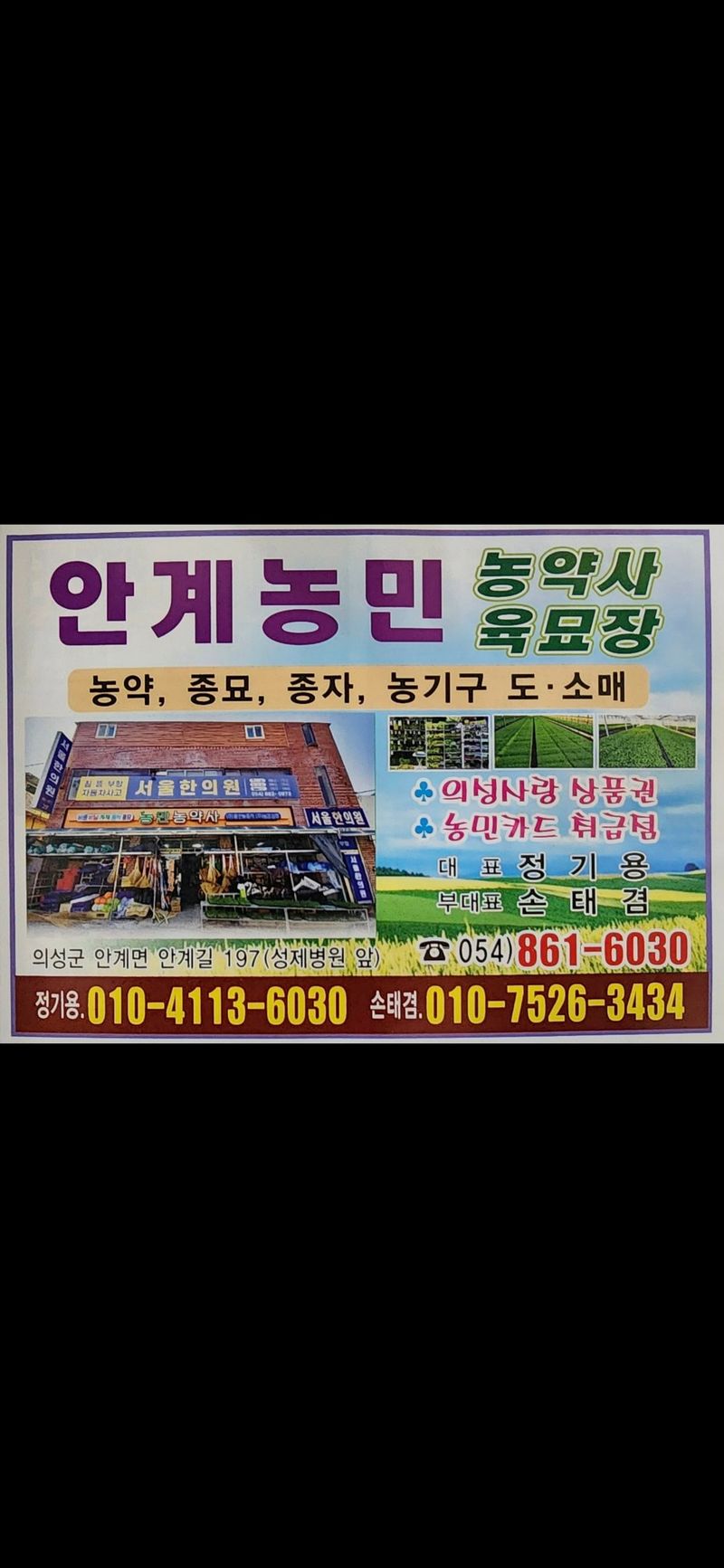 손태겸님의 장터 판매 상품 [고추종자 씨앗 복합내병계 극대과종 1200립] 첨부 사진