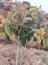 팜모닝 자유주제·자유게시판 게시글 이미지