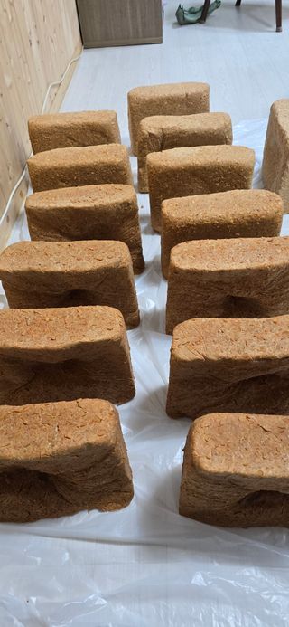 진촌다육묘목농원님의 자유주제 · 자유게시판 작성글 사진