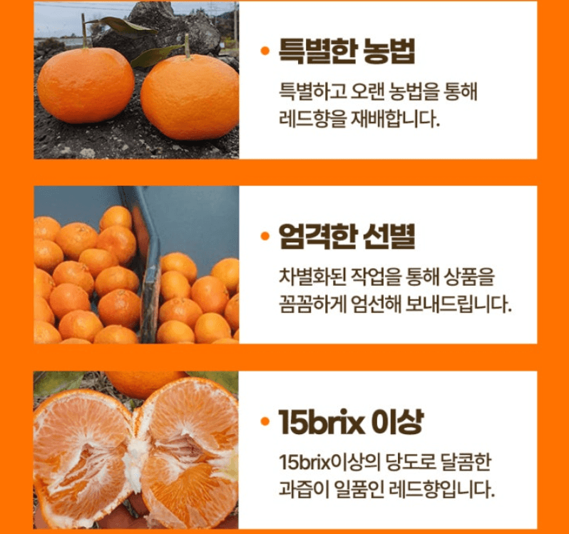 스피드번님의 장터 판매 상품 [(선물용) 프리미엄 레드향] 첨부 사진