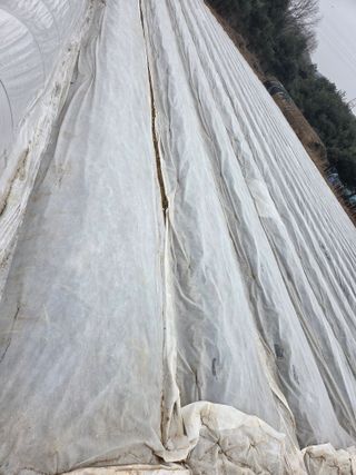 태일농산이정수님의 자유주제 · 자유게시판 작성글 사진