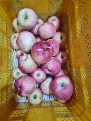 호랑이와인성이님의 작성글 사진