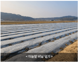 엔피코뉴스님의 자유주제 · 자유게시판 작성글 사진