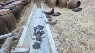 김준한님의 자유주제 · 자유게시판 작성글 사진