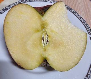 호랑이와인성이님의 작성글 사진