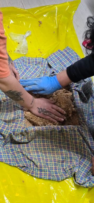 진촌다육묘목농원님의 자유주제 · 자유게시판 작성글 사진