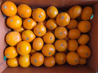 산방자연농원님의 작성글 사진