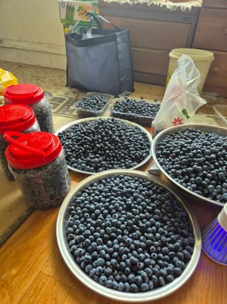 귤19190님의 작성글 사진